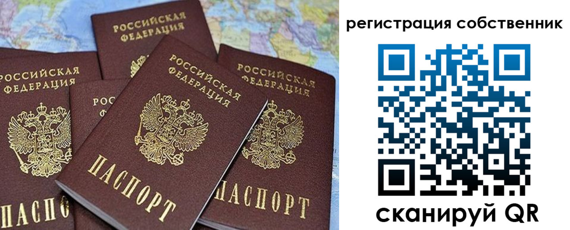 прописка для школы в Звенигороде
